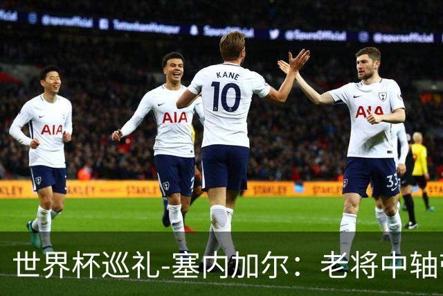 世界杯巡礼-塞内加尔：老将中轴带来安全感，非洲顶流前景可期！